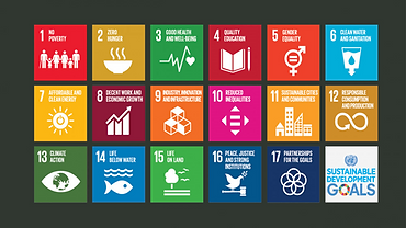 United Nations Sustainable Development Goals provide framework beyond ‘being green’